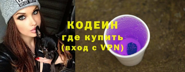 дживик Заводоуковск