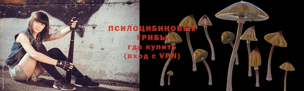 мескалин Заволжск